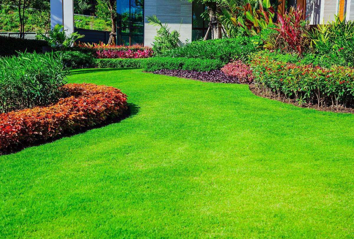 banner of Turn a Garden into a Utopia
