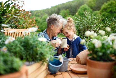 square of Gardening Can Remain a Great Hobby Throughout Your Life (lifestylealive