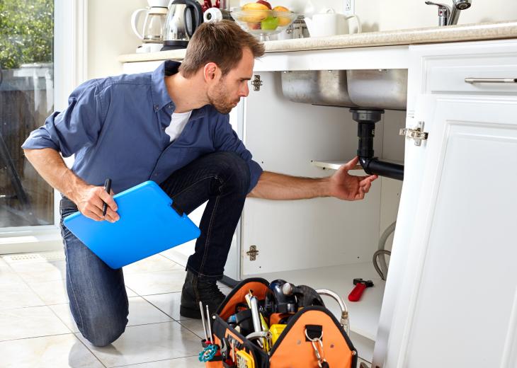 thumbnail of The Role of Professional Plumbing Services