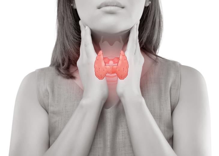 thumbnail of Understanding Hypothyroidism Treatment: Restoring Thyroid Health