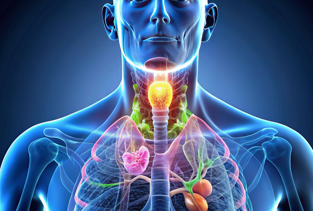 banner of Hypothyroidism Treatment: What to Know
