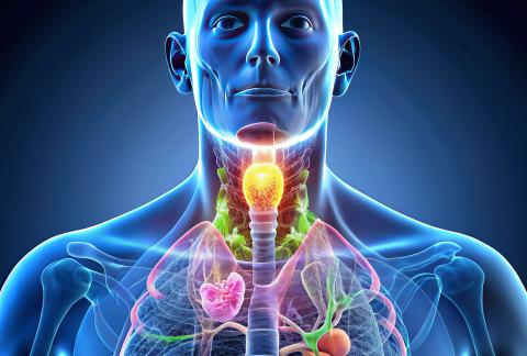 square of Hypothyroidism Treatment: What to Know