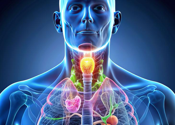 thumbnail of Hypothyroidism Treatment: What to Know