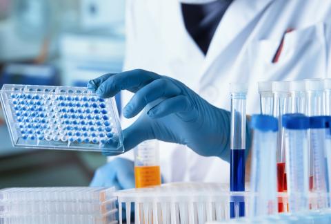 square of ELISA Assay Development: Advancing Precision in Diagnostics