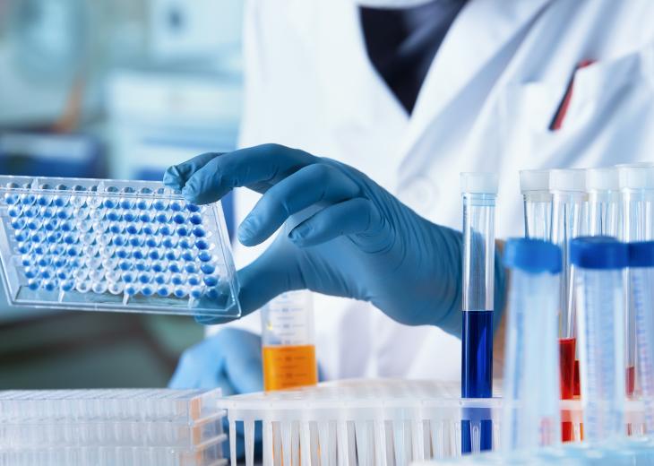 thumbnail of ELISA Assay Development: Advancing Precision in Diagnostics